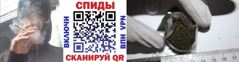цены   Жердевка  Бутират BDO 