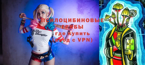 apvp Алексин