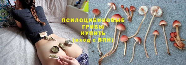 ГАЛЛЮЦИНОГЕННЫЕ ГРИБЫ Алексеевка