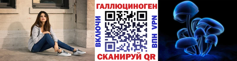 мега ссылка  Жердевка  Псилоцибиновые грибы мицелий 